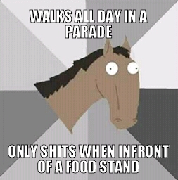 Every damn parade - meme