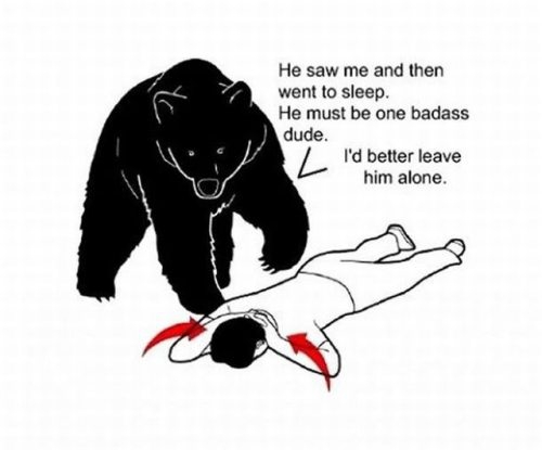 To Awesome For Bears - meme