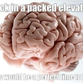Thank you brain...