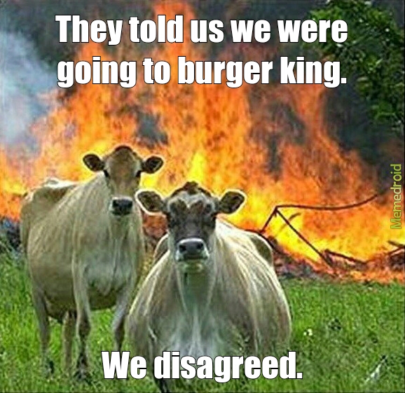 Sheep strike back against Burger King - meme