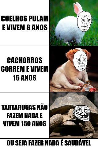 lol tartarugas - meme