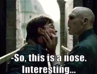 voldemort - meme