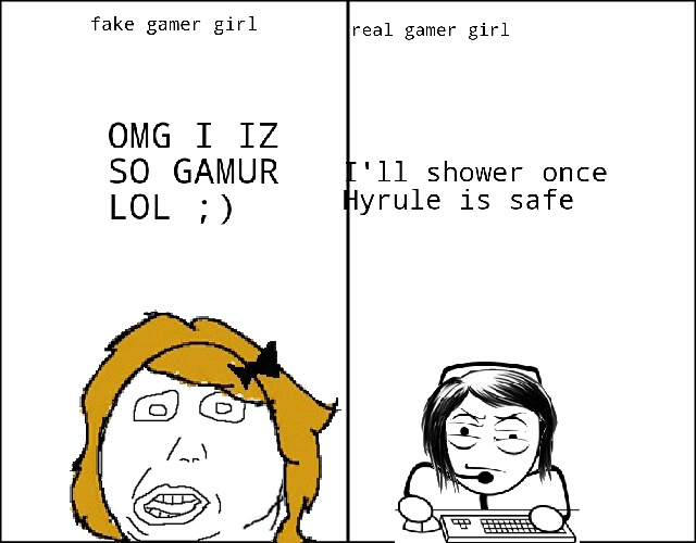 Gamer or Lamer? - meme