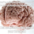 damn brain