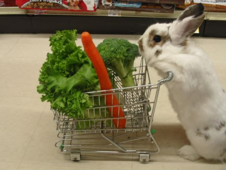 Rabbit goes shopping - meme