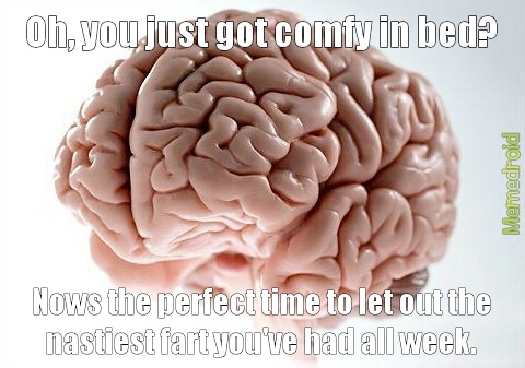 fu*k you brain! - meme