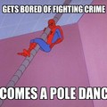stupid spiderman