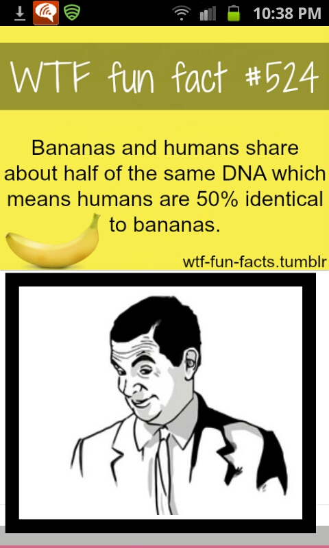 50% Banana???.... c: oohhhh - meme