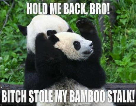 Pandas!:D - meme
