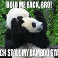 Pandas!:D