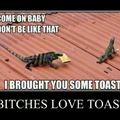 LOL toast