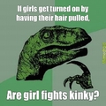 Are girl fights kinky?