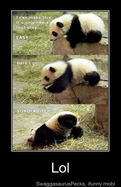 poor panda - meme