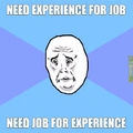 Job or Experience what first ?