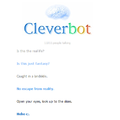 I decided to go on Cleverbot just for fun, and this happened