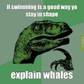 lol whales