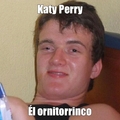 Katy perry