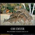 Deerssss...