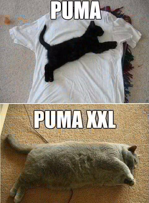 Puma & Puma XXL   !!!!! - meme