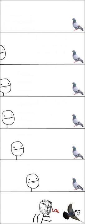 LOOOL .. fly little Pigeon - meme