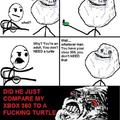 turtle time