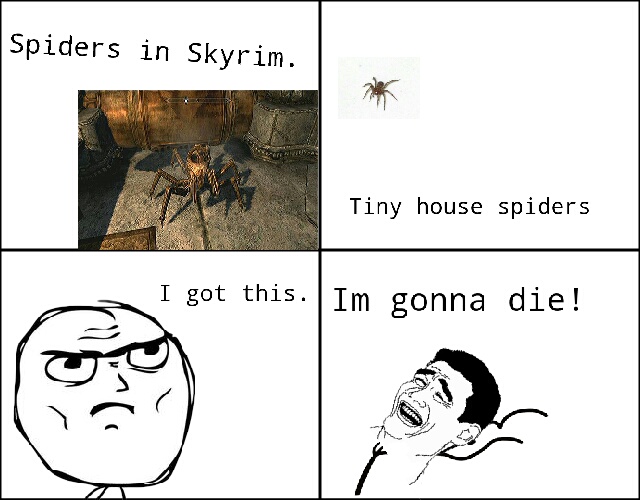 Spiderz - meme