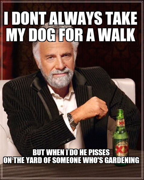 walking the dog - meme
