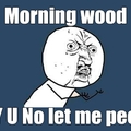 Morning wood strikes again