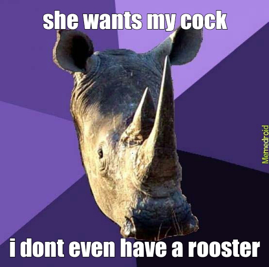 rooster rhyno - meme