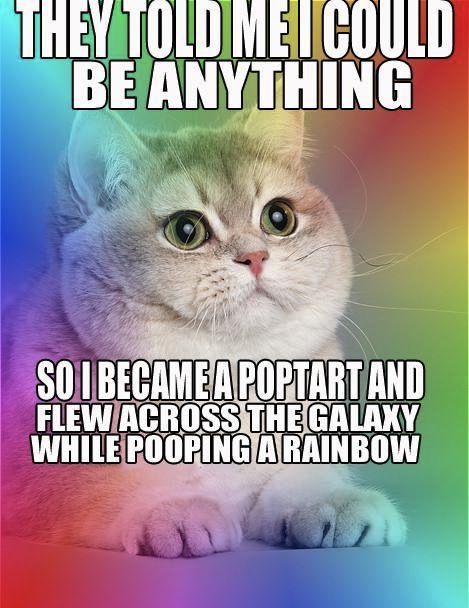 nyan cat - meme