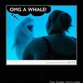 omg! a whale
