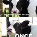 milk me i dare you