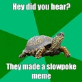 slow turtle is slow