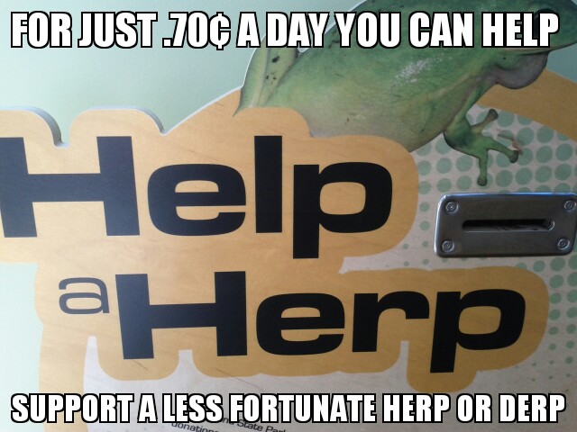 herps and derps eveywhere need your help - meme