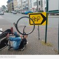 meanwhile in the netherlands