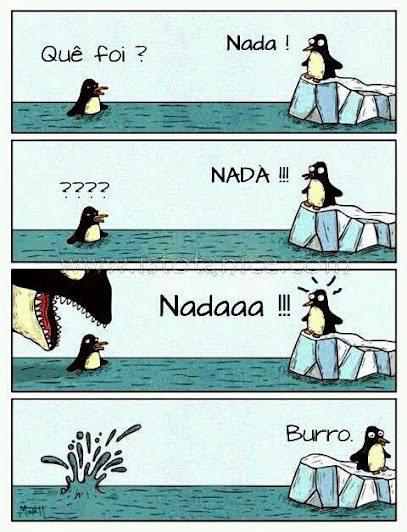 burro o_O - meme
