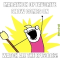 All the shows!