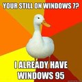 windows 7 duck
