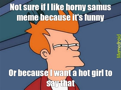 Fry - meme