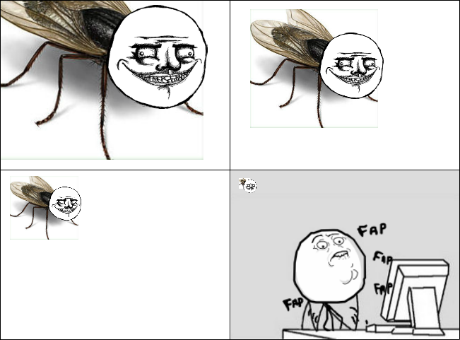 Муха смеется. Муха Мем. Мемы про мух. Комиксы Муха. Комикс про муху.