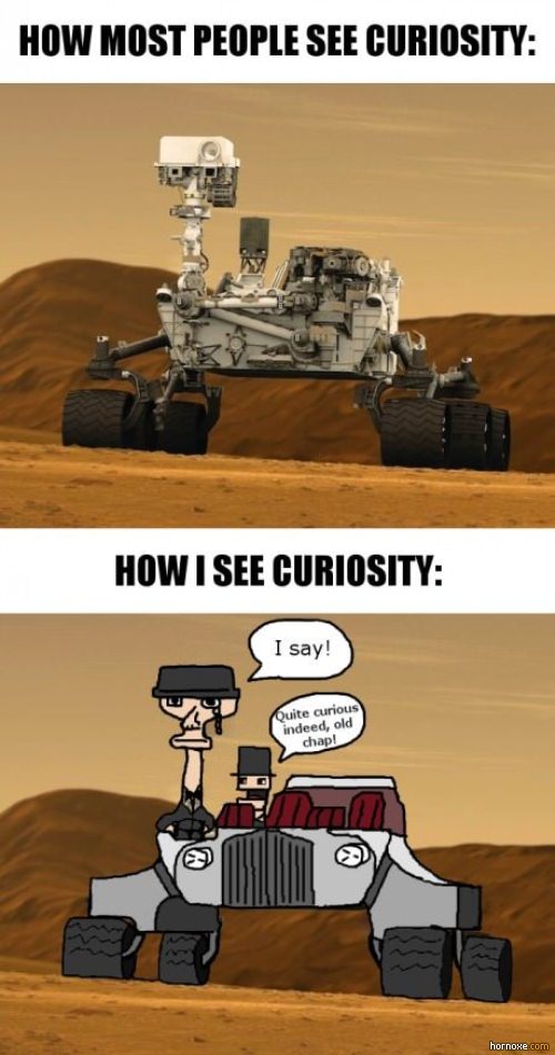 curiosity - meme