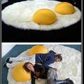 I'm eggsausted. SHUT UP AND TAKE MY MONEY.