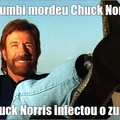 Fato de Chuck Norris