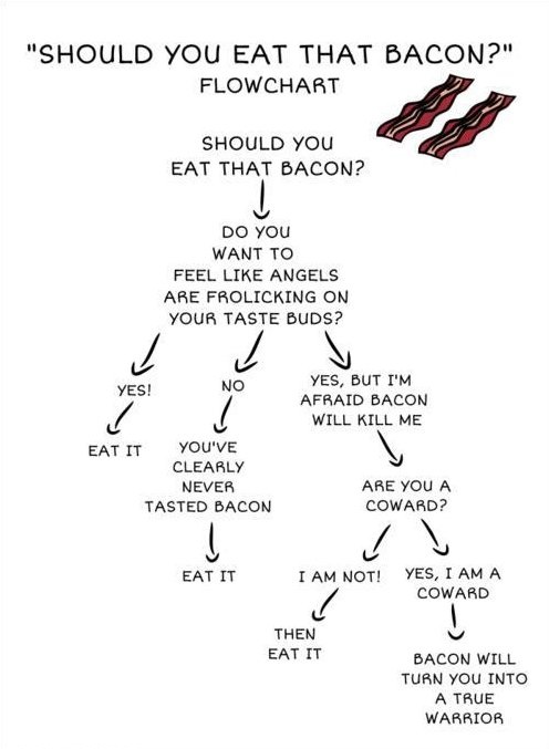 always eat bacon - meme