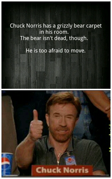Chuck Norris Approves. - meme