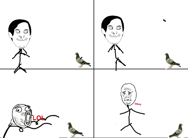 piccione maledetto - meme