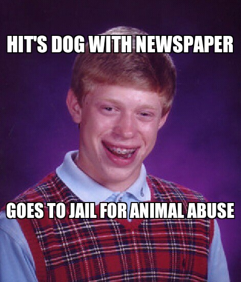 animal abuse - meme
