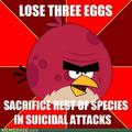Angry birds logic (;