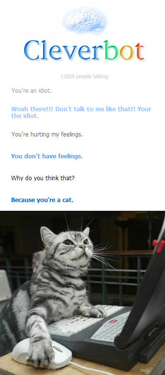 Clever cleverbot. - meme