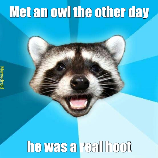 Owl real hoot - meme